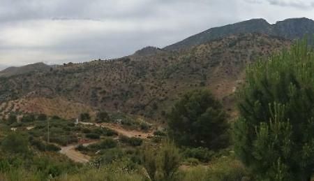 منزل الضيف أرذاليس  في La Solana De Turon. El Pino المظهر الخارجي الصورة